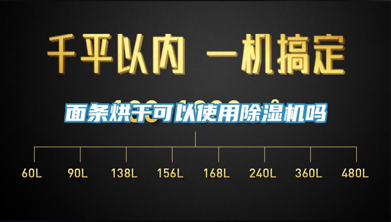 麵條烘幹可以使用蘑菇视频网站嗎