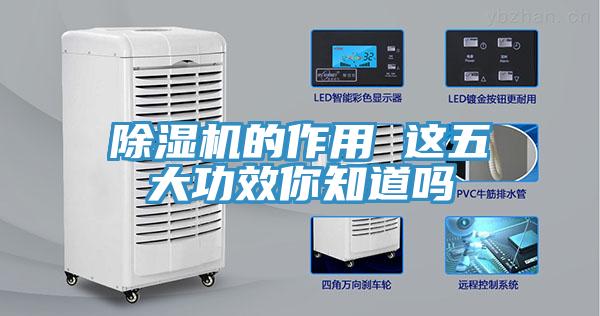 蘑菇视频网站的作用 這五大功效你知道嗎