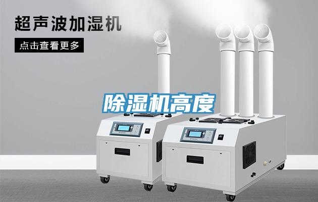 蘑菇视频网站高度