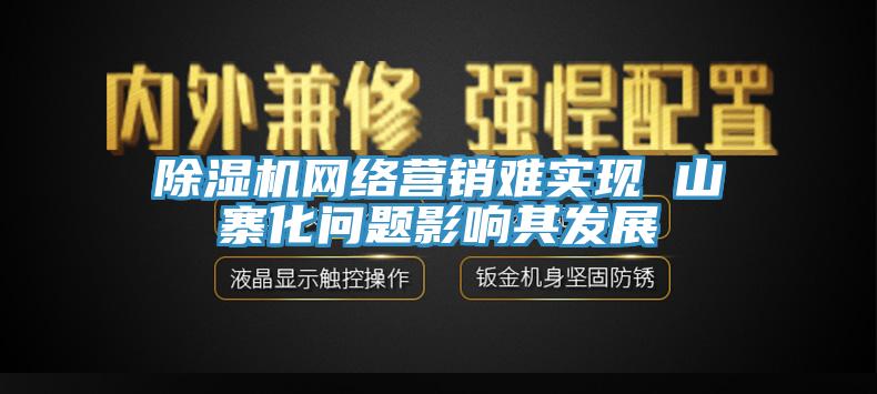 蘑菇视频网站網絡營銷難實現 山寨化問題影響其發展
