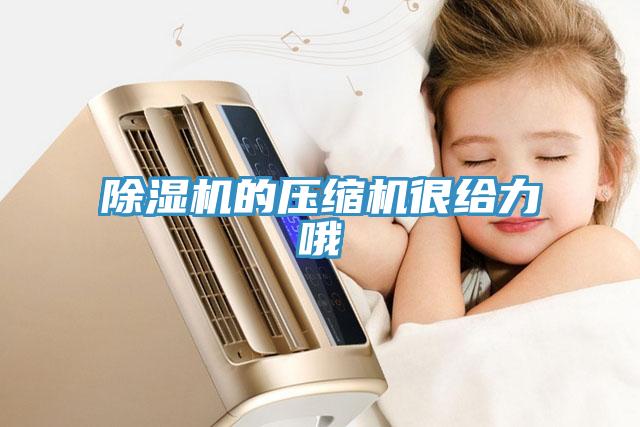 蘑菇视频网站的壓縮機很給力哦