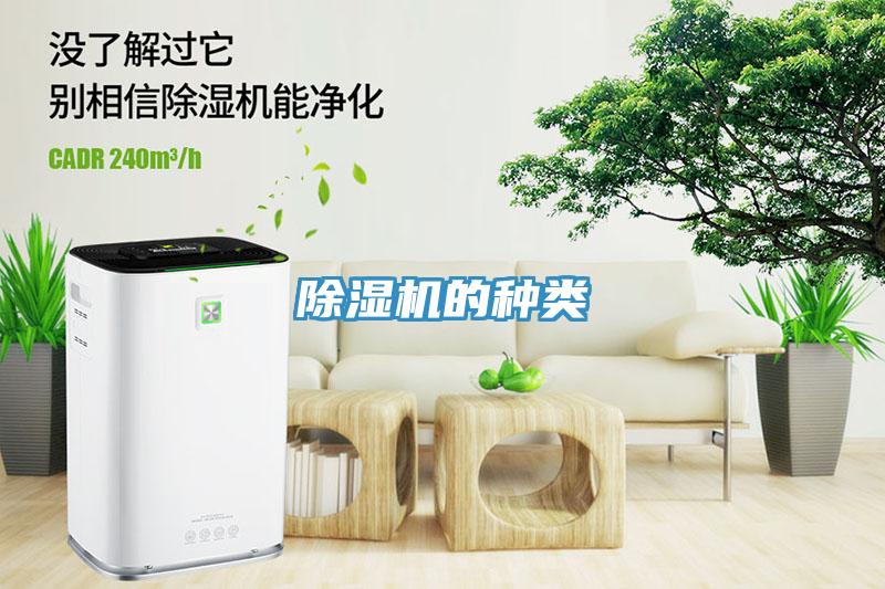 蘑菇视频网站的種類