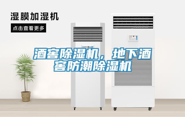 酒窖蘑菇视频网站，地下酒窖防潮蘑菇视频网站