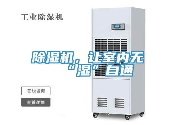 蘑菇视频网站，讓室內無“濕”自通