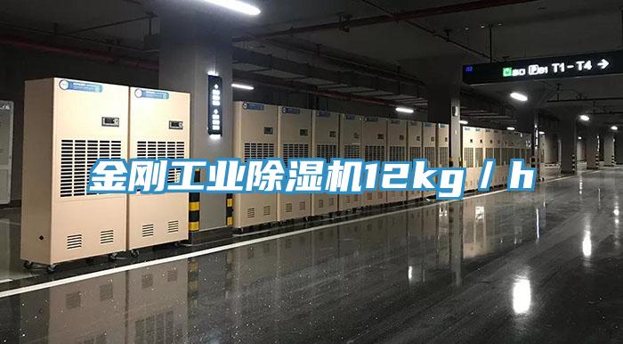 金剛工業蘑菇视频网站12kg／h