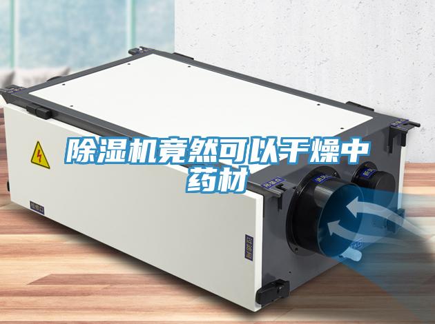 蘑菇视频网站竟然可以幹燥中藥材