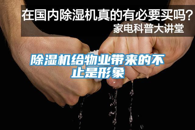 蘑菇视频网站給物業帶來的不止是形象
