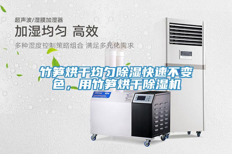 竹筍烘幹均勻除濕快速不變色，用竹筍烘幹蘑菇视频网站