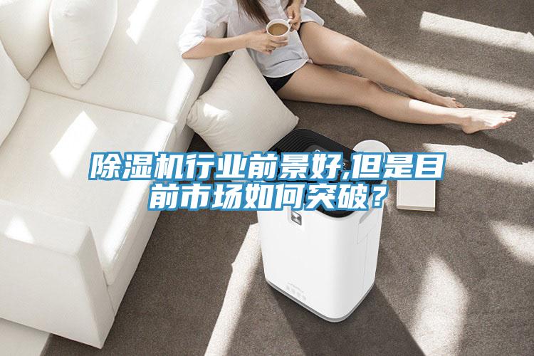 蘑菇视频网站行業前景好,但是目前市場如何突破？