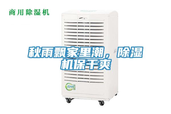 秋雨飄家裏潮，蘑菇视频网站保幹爽