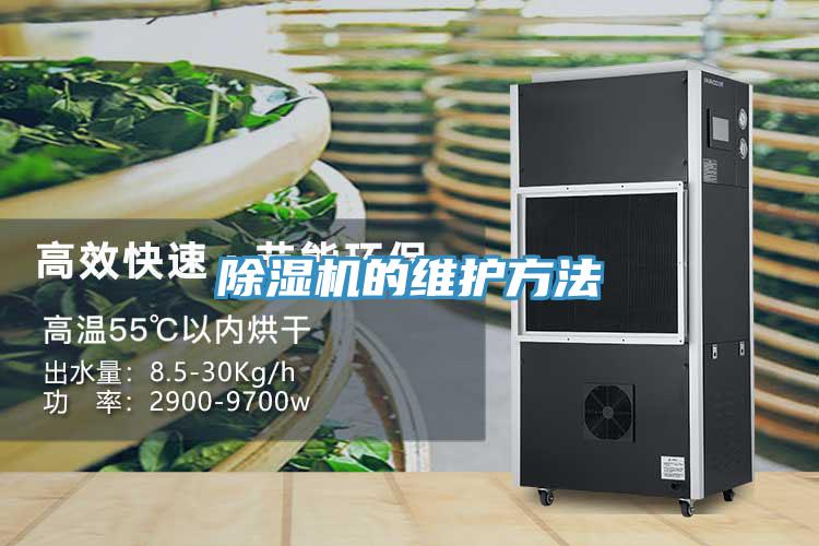 蘑菇视频网站的維護方法
