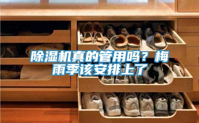 蘑菇视频网站真的管用嗎？梅雨季該安排上了