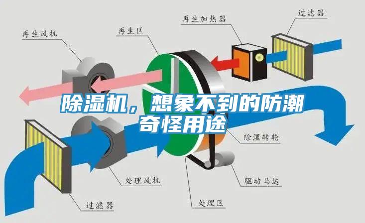 蘑菇视频网站，想象不到的防潮奇怪用途