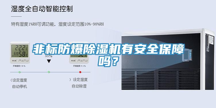 非標防爆蘑菇视频网站有安全保障嗎？