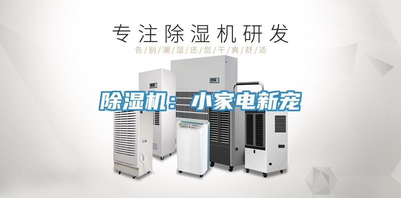 蘑菇视频网站：小家電新寵