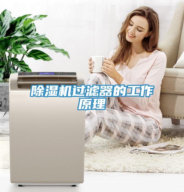 蘑菇视频网站過濾器的工作原理