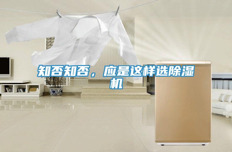 知否知否，應是這樣選蘑菇视频网站