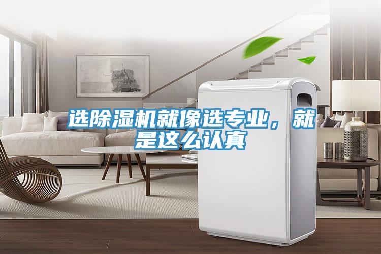 選蘑菇视频网站就像選專業，就是這麽認真