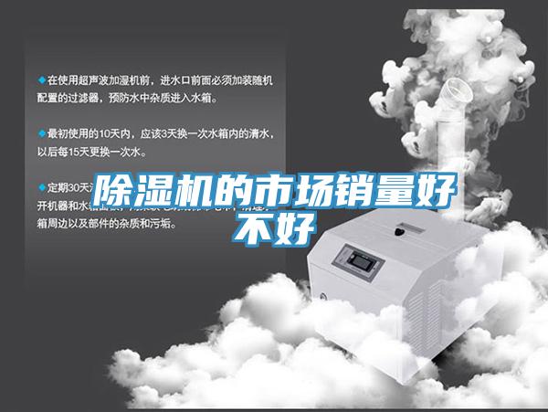蘑菇视频网站的市場銷量好不好