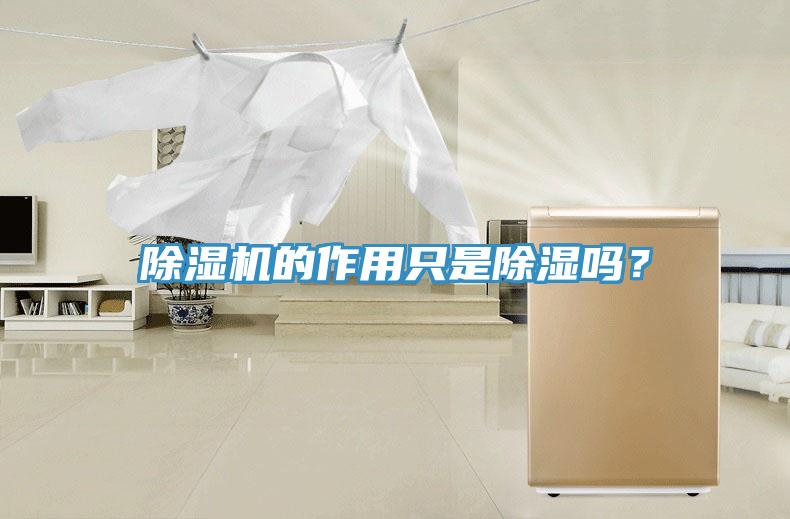 蘑菇视频网站的作用隻是除濕嗎？
