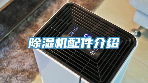 蘑菇视频网站配件介紹