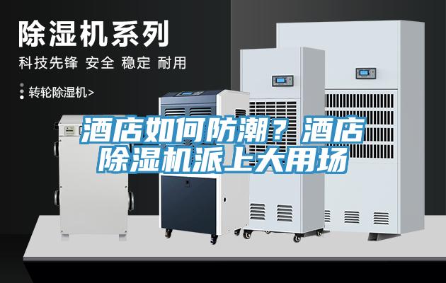 酒店如何防潮？酒店蘑菇视频网站派上大用場