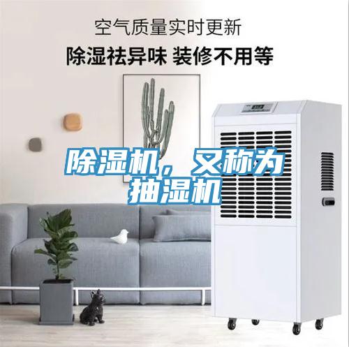 蘑菇视频网站，又稱為抽濕機