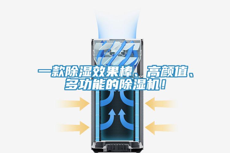 一款除濕效果棒、高顏值、多功能的蘑菇视频网站！