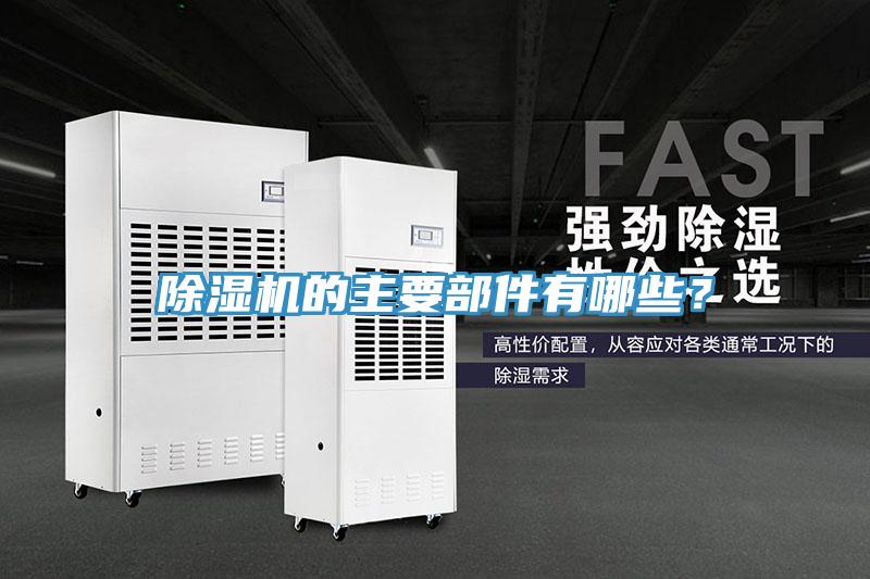 蘑菇视频网站的主要部件有哪些？