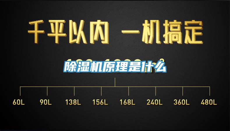 蘑菇视频网站原理是什麽