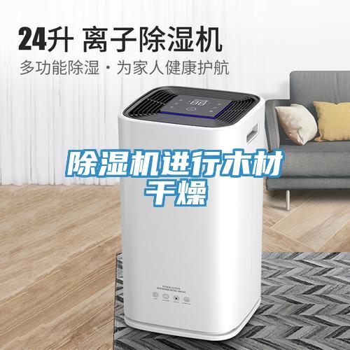 蘑菇视频网站進行木材幹燥
