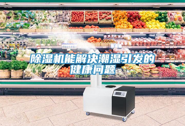 蘑菇视频网站能解決潮濕引發的健康問題