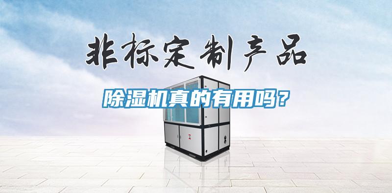 蘑菇视频网站真的有用嗎？