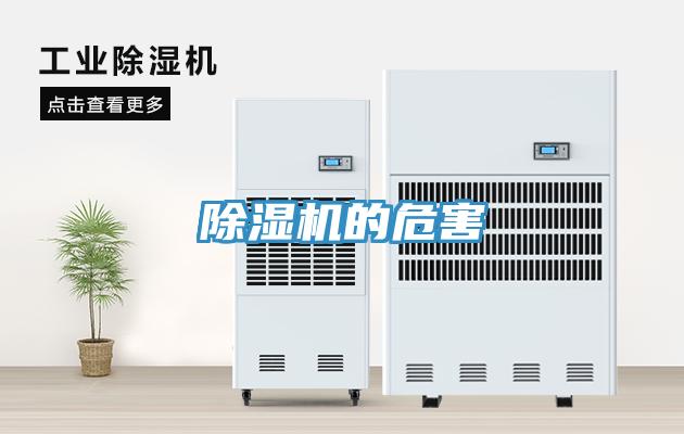 蘑菇视频网站的危害