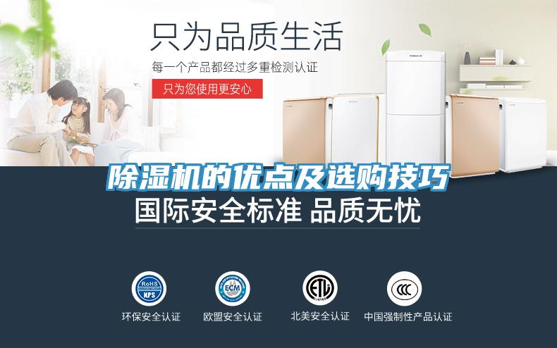 蘑菇视频网站的優點及選購技巧