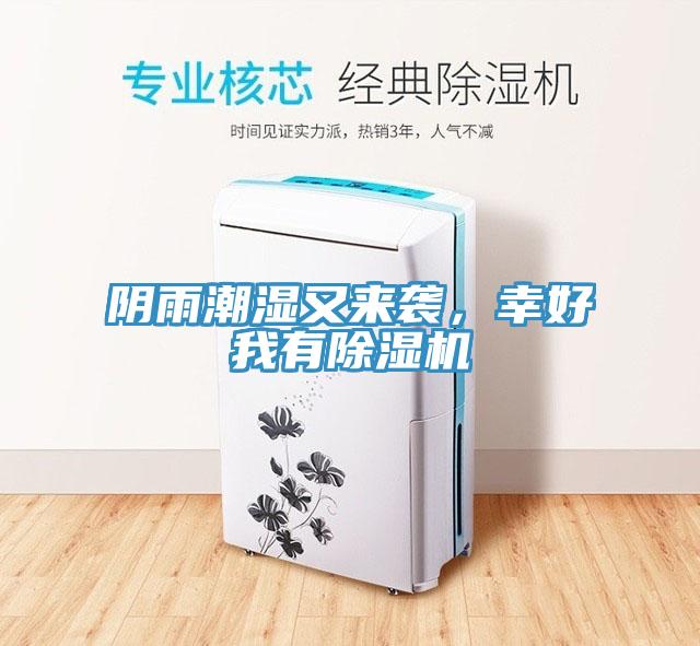 陰雨潮濕又來襲，幸好我有蘑菇视频网站