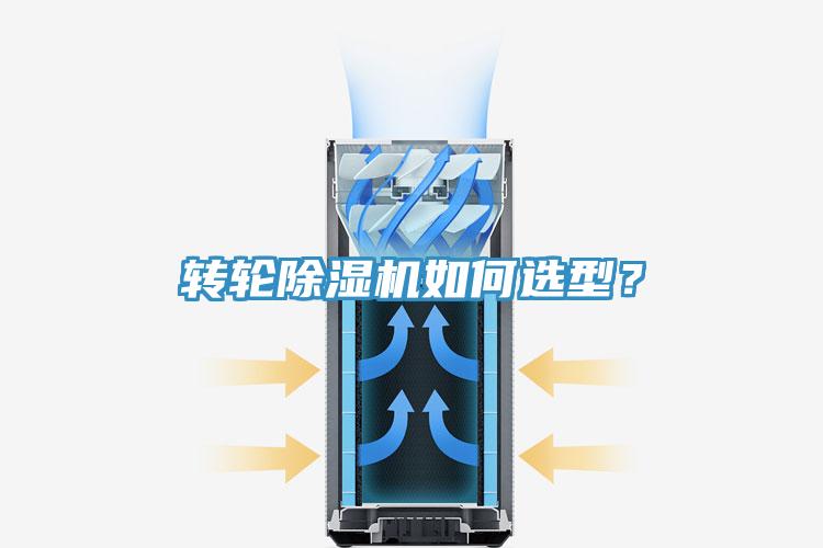 轉輪蘑菇视频网站如何選型？