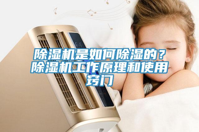 蘑菇视频网站是如何除濕的？蘑菇视频网站工作原理和使用竅門