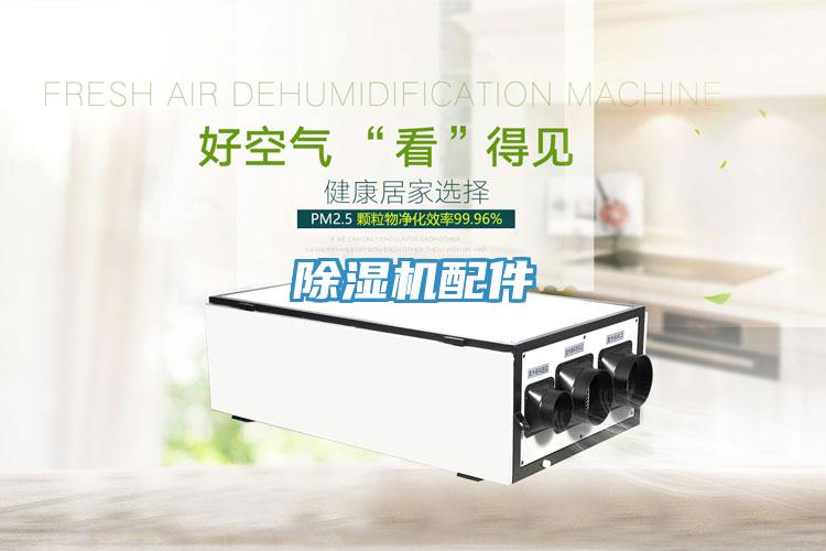 蘑菇视频网站配件