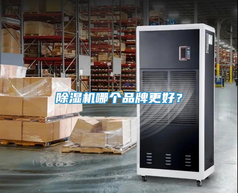 蘑菇视频网站哪個品牌更好？