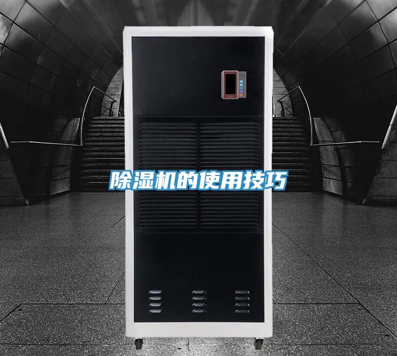 蘑菇视频网站的使用技巧