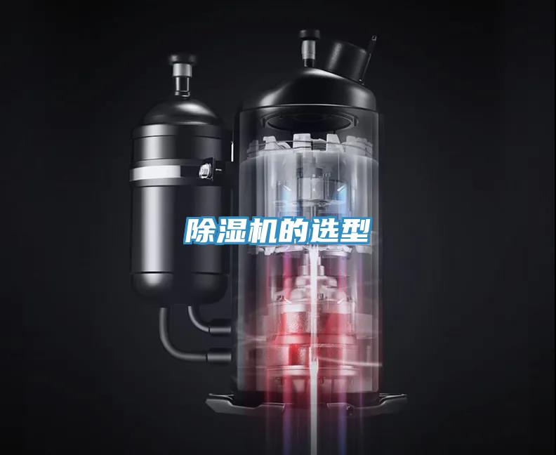 蘑菇视频网站的選型