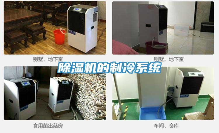 蘑菇视频网站的製冷係統