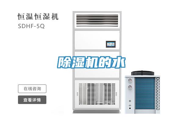 蘑菇视频网站的水