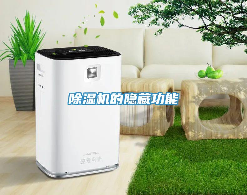 蘑菇视频网站的隱藏功能