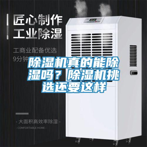 蘑菇视频网站真的能除濕嗎？蘑菇视频网站挑選還要這樣