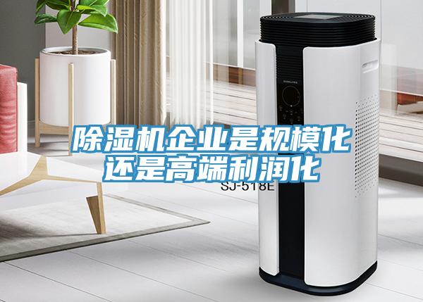 蘑菇视频网站企業是規模化還是高端利潤化