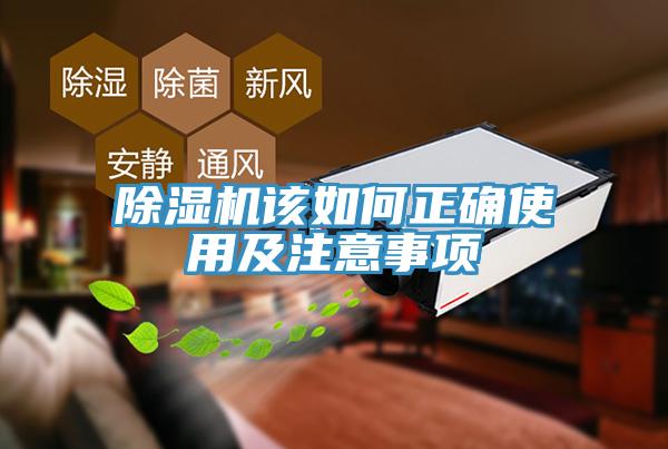 蘑菇视频网站該如何正確使用及注意事項