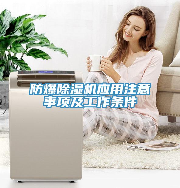 防爆蘑菇视频网站應用注意事項及工作條件