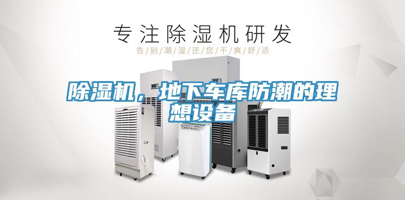 蘑菇视频网站，地下車庫防潮的理想設備
